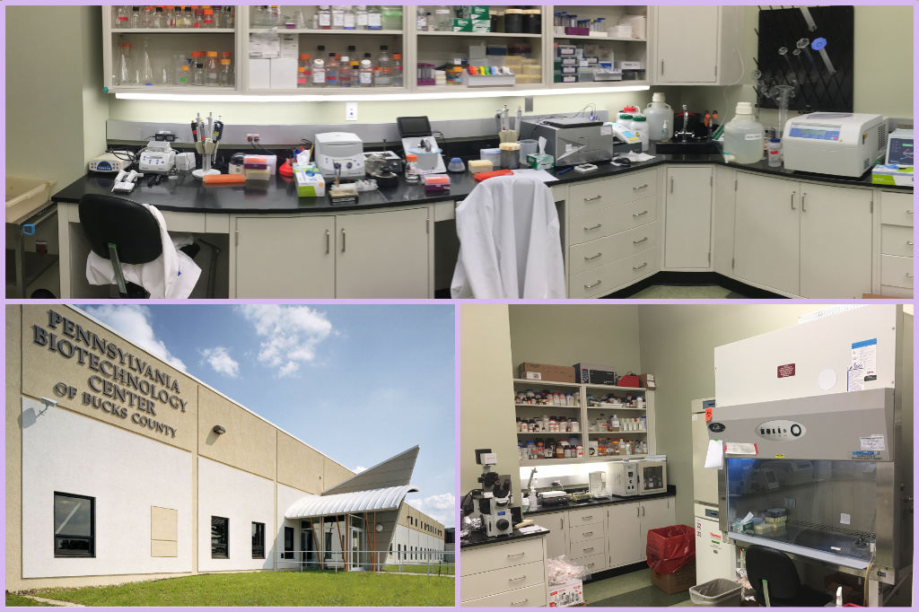 Pennsylvania Biotechnology Center - ImCare Biotech Lab